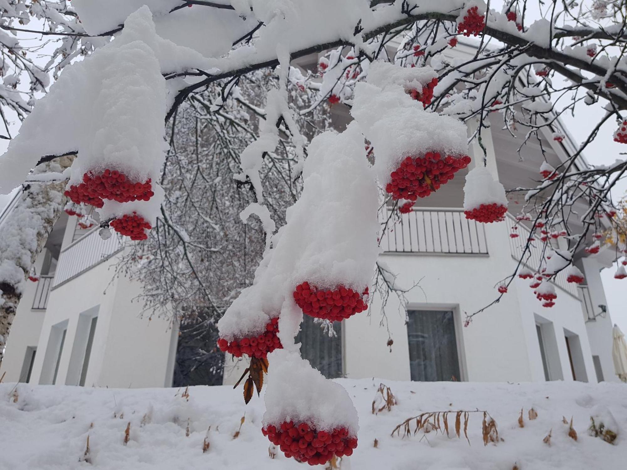 Apart Foresta Samnaun Exterior photo