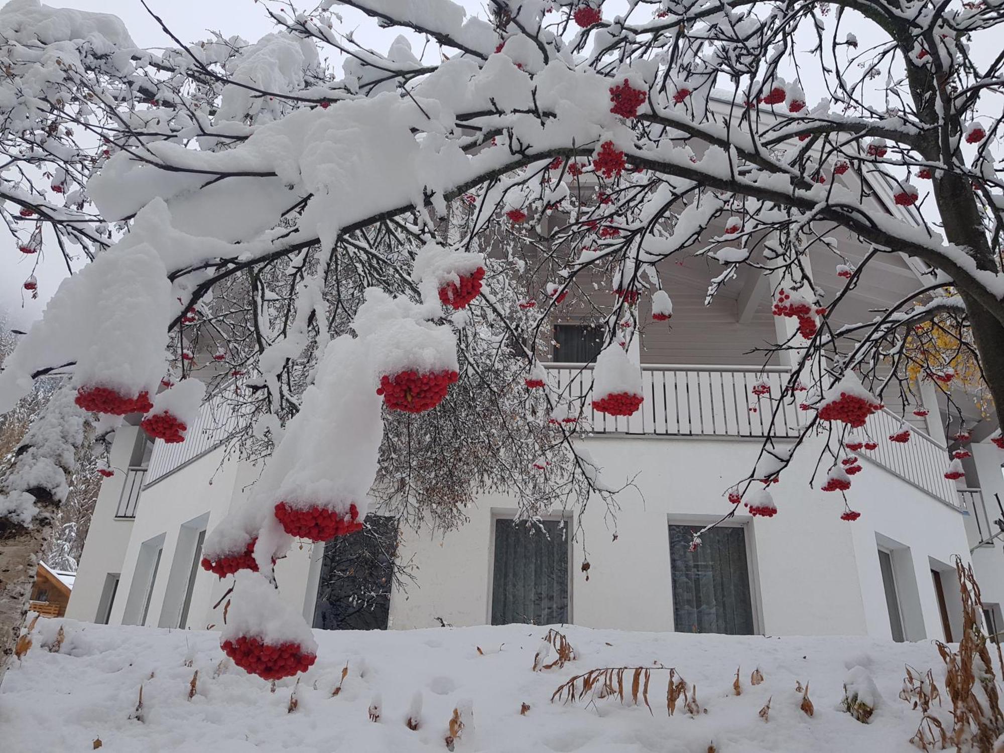 Apart Foresta Samnaun Exterior photo