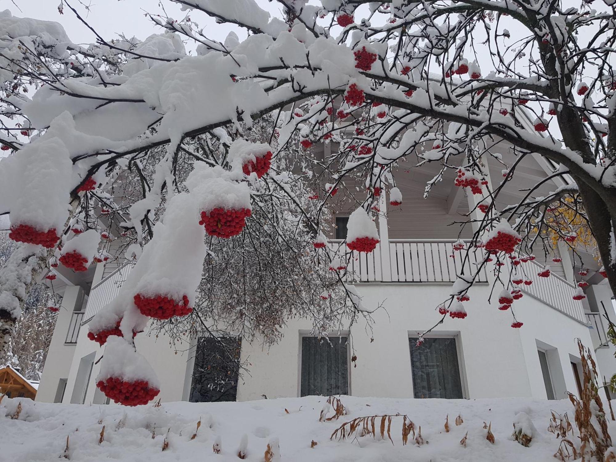 Apart Foresta Samnaun Exterior photo